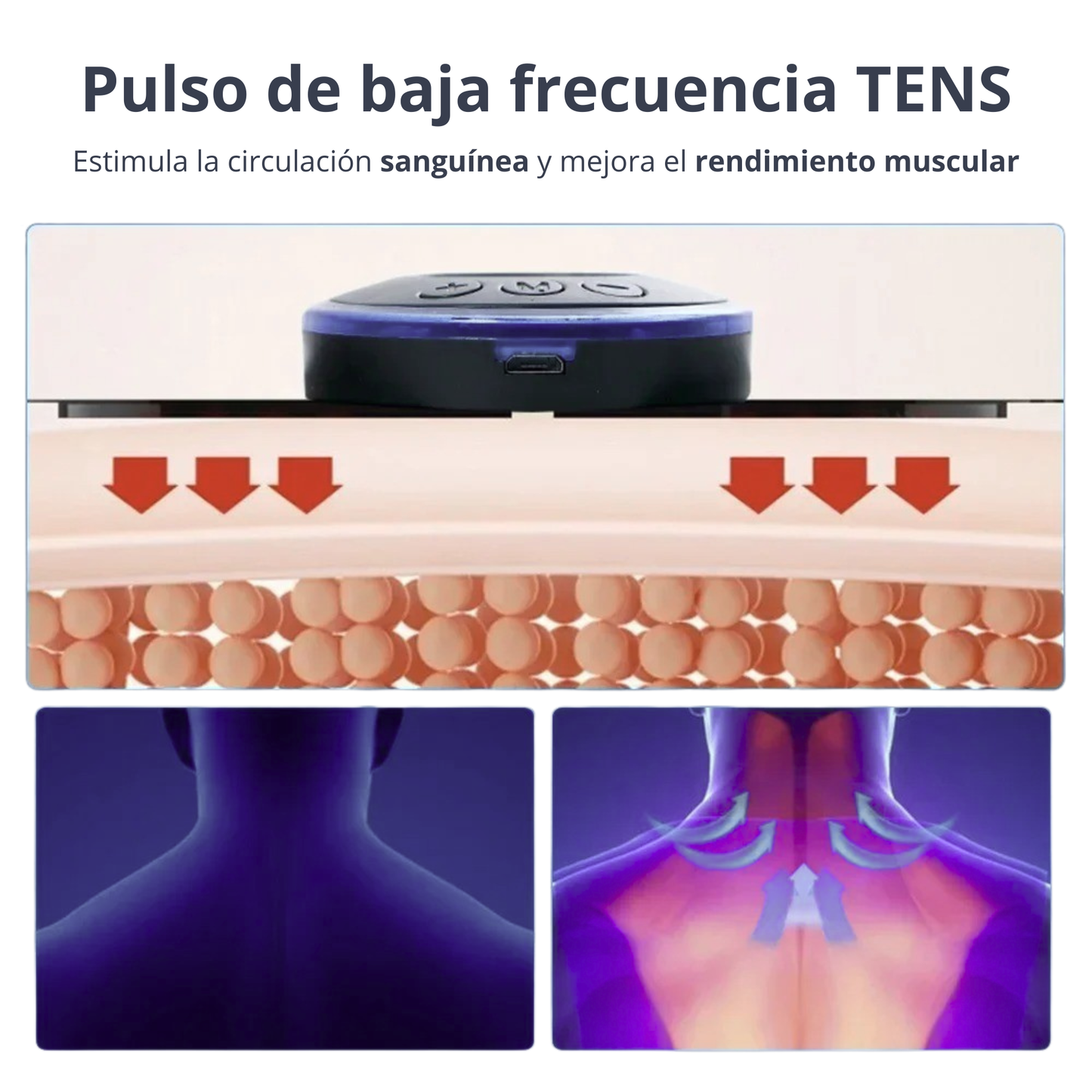 Regenerador Muscular EMS
